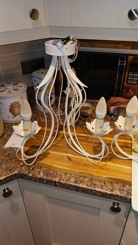 Photo of free Ceiling lights (Burntwood) #2
