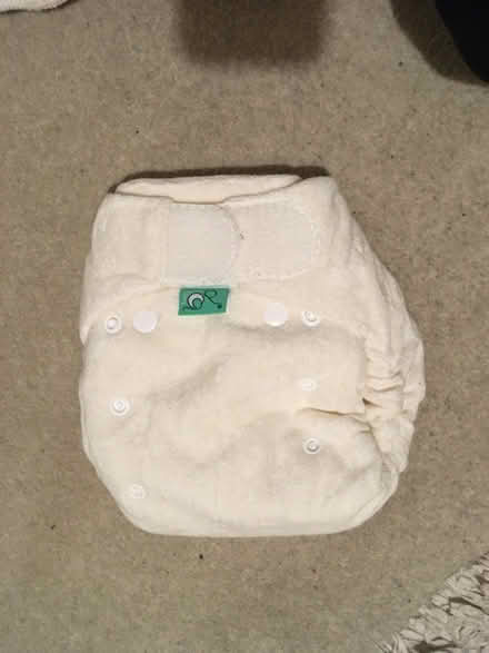 Photo of free Tots Bots reusable nappies (AL8) #2
