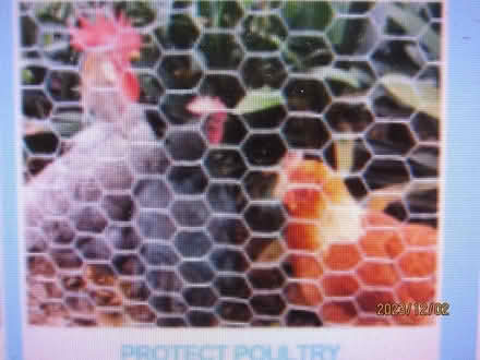 Photo of chicken wire mesh for rabbit hutch (crookes S10) #1