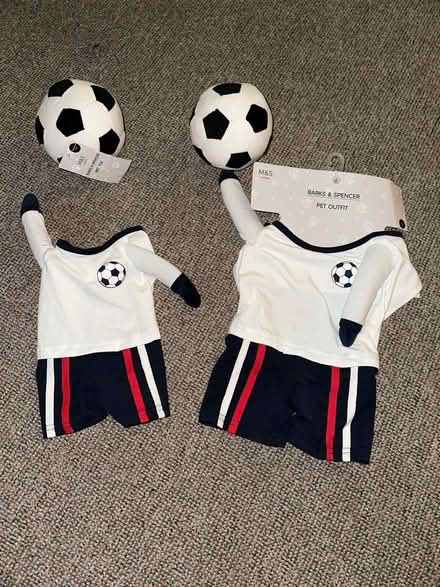 Photo of free Dog football outfits (Shortlands, BR2) #1