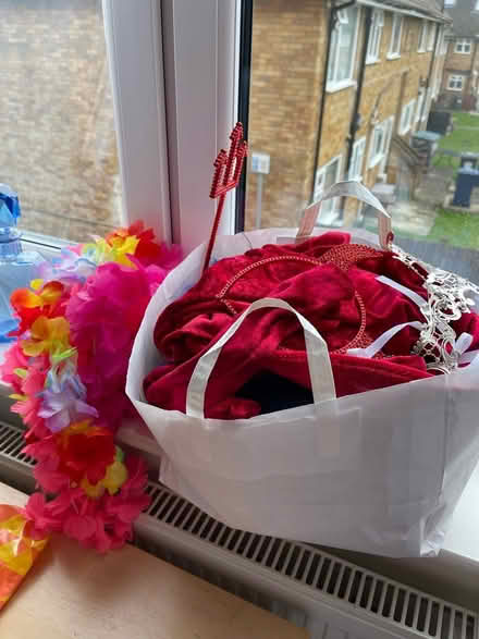 Photo of free Bag of fancy dress items (Hendon, NW4, Brent Street) #1