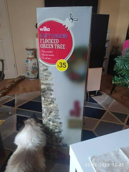 Photo of free Christmas Tree (Wolverham CH65) #1