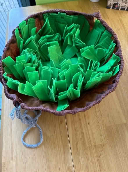 Photo of free dog snuffle mat (Maidstone ME17) #2