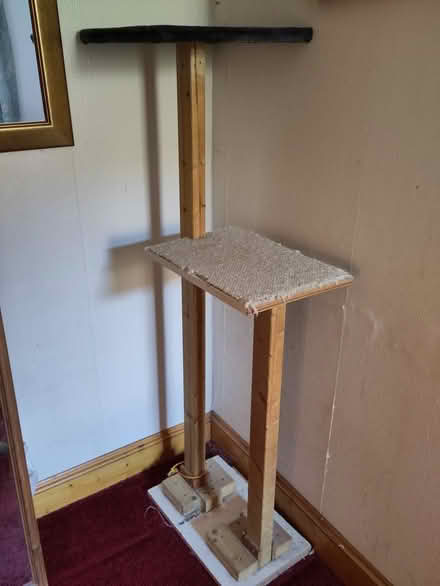 Photo of free Cat tower (Govanhill G42) #1