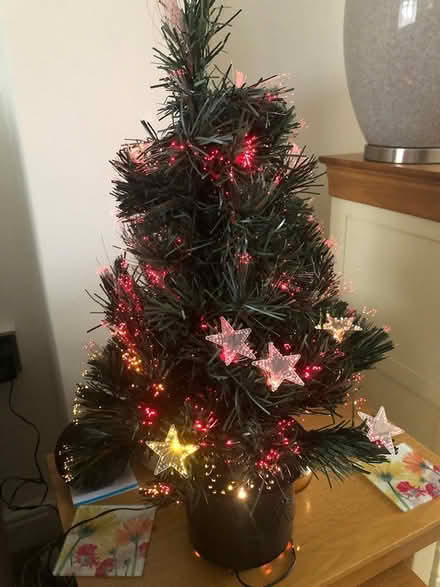 Photo of free 24” fibre optic Christmas Tree (Galleywood CM2) #1