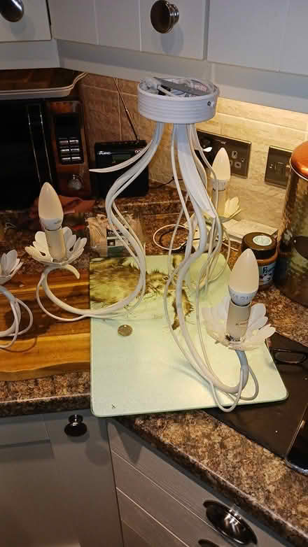 Photo of free Ceiling lights (Burntwood) #1