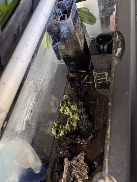 Photo of free Fish tank approx 60w x 30d x 42h cm (East Dulwich SE22) #1