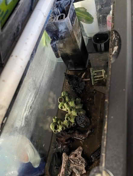 Photo of free Fish tank approx 60w x 30d x 42h cm (East Dulwich SE22) #1