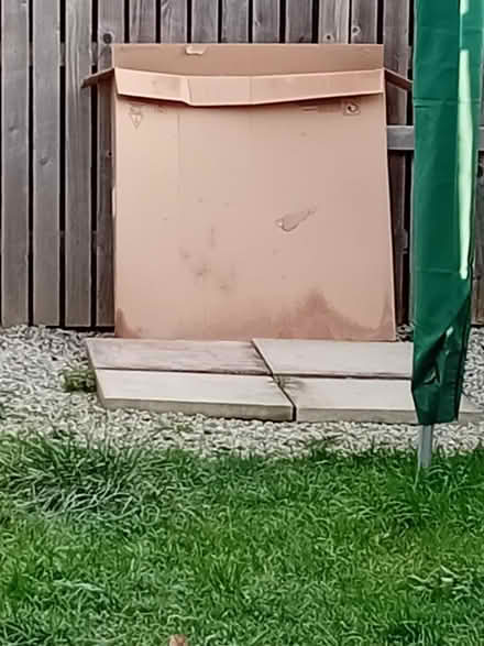 Photo of free Large cardboard box (Carlyon Bay PL25) #1