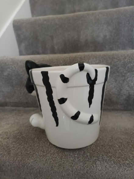 Photo of free Plant pot (Motspur park) #1