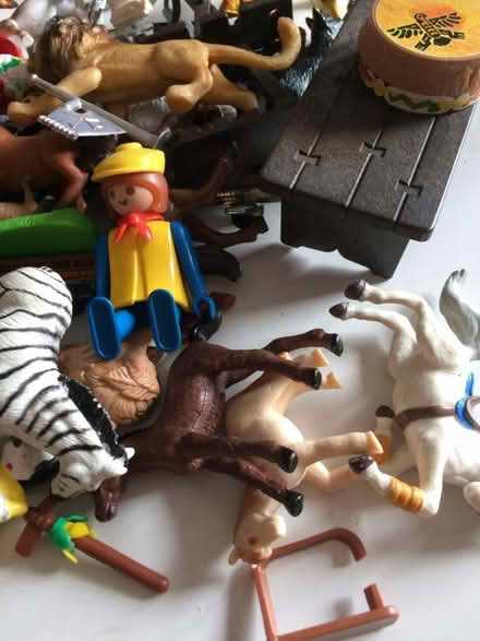 Photo of free Mixed Lot Plastic Animals/Disney/Playmobil Toys (St James, South Elmham IP19) #4