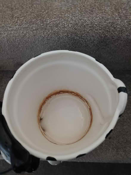 Photo of free Plant pot (Motspur park) #3