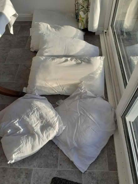 Photo of free Pillows, cushions (Newlyn TR18) #1