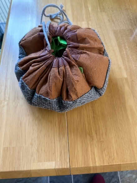 Photo of free dog snuffle mat (Maidstone ME17) #1