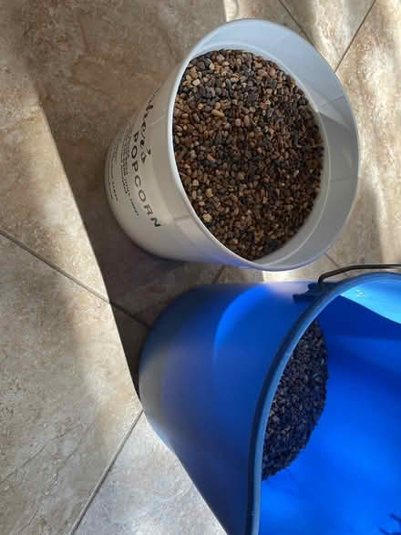 Photo of free Aquarium gravel (Schnecksville) #2