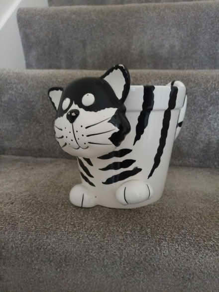 Photo of free Plant pot (Motspur park) #2