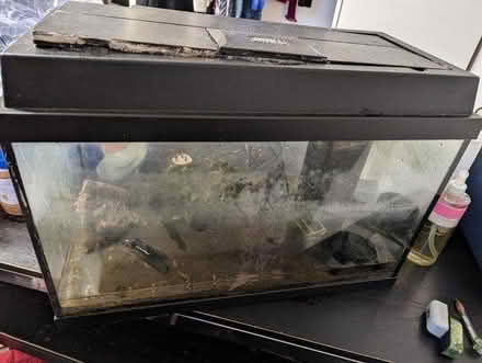Photo of free Fish tank approx 60w x 30d x 42h cm (East Dulwich SE22) #2