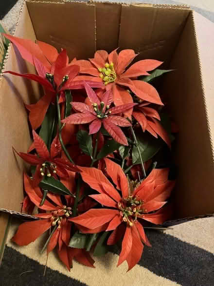 Photo of free Plastic Christmas flowers and leaves (Garston L19) #1
