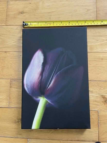 Photo of free Pair of canvasses. (Rayne CM77) #3