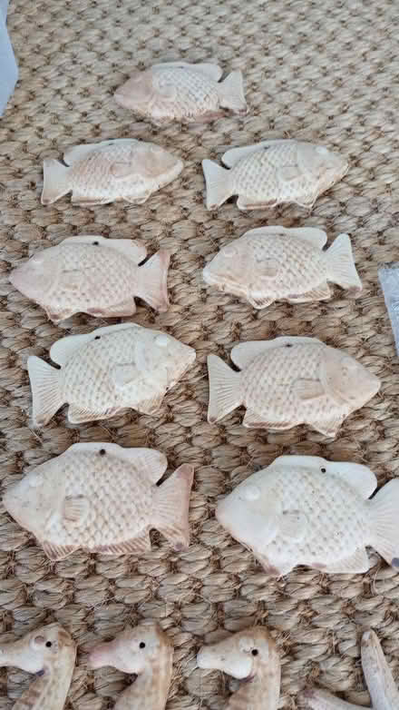 Photo of free DIY Mobile or ? - Sea Life Theme (Western Lake Worth) #3