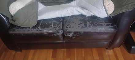 Photo of free love seat (Passaic) #1