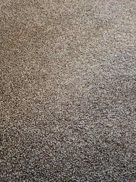 Photo of free New carpet off cuts (Kirkby Thore CA10) #1