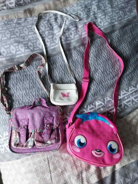 Photo of free Children's handbags (Frome BA11) #1