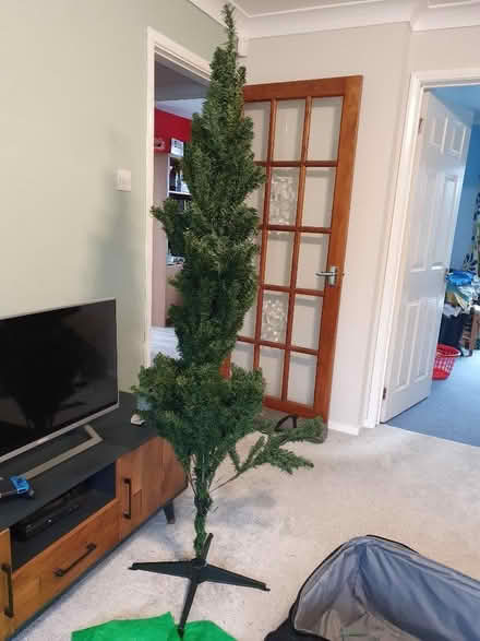 Photo of free Christmas Tree 6ft (Abbeydale GL4) #2