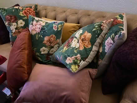 Photo of free Cushions (Ashtead KT21) #1