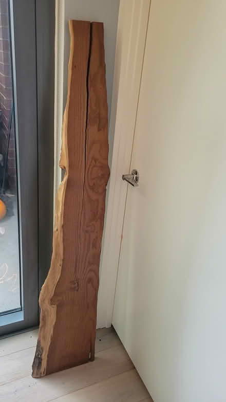 Photo of free Live edge wood plank (Convention Center) #1