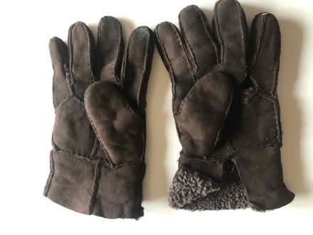 Photo of free Gloves (OX26) #1