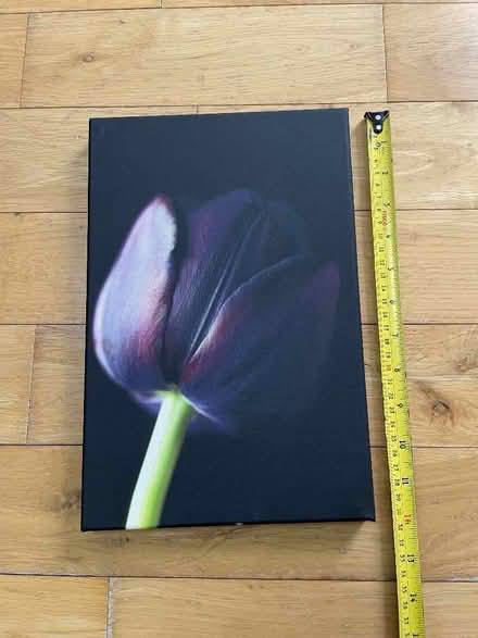 Photo of free Pair of canvasses. (Rayne CM77) #1