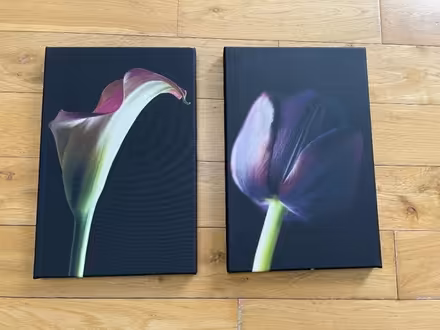 Photo of free Pair of canvasses. (Rayne CM77) #2