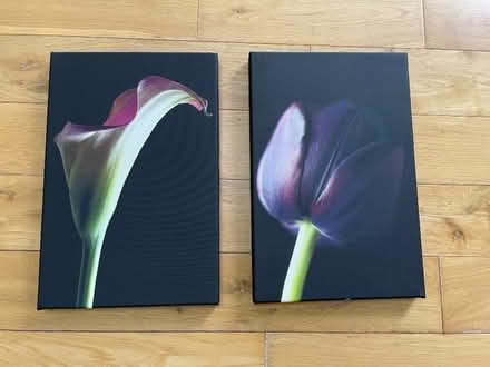 Photo of free Pair of canvasses. (Rayne CM77) #2