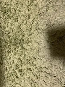 Photo of free Rug (NW11) #2