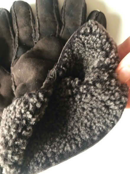 Photo of free Gloves (OX26) #2