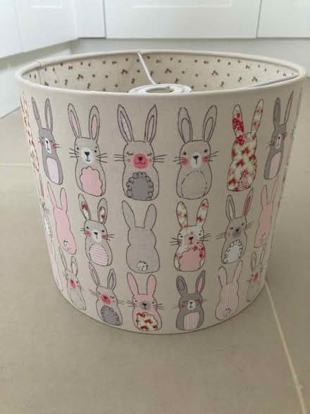 Photo of free Children’s light shade (Hildenborough TN10) #1
