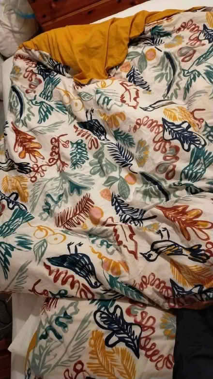 Photo of free Single duvet with cover and one pillow. (AB24) #2