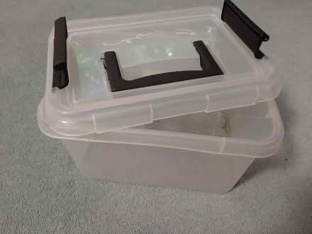 Photo of free Plastic Storage Box (Woodford IG8) #1