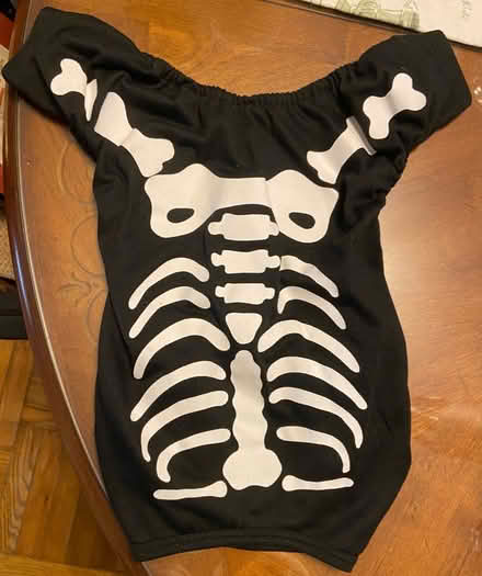 Photo of free Dog Skeleton Suit (North Hollywood CA) #1