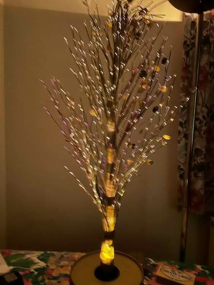 Photo of free Fibre optic twig tree (Headington Quarry OX3) #1