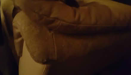 Photo of free Armchair ... leather (Divinity Road OX4) #1