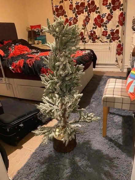 Photo of free Small christmas tree (BR6) #2