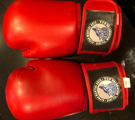 Photo of free Kickboxing gloves - Adult small (Madison Valley) #1