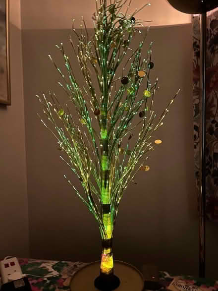 Photo of free Fibre optic twig tree (Headington Quarry OX3) #2