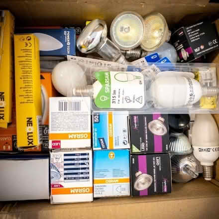 Photo of free Light bulbs (Emsworth PO10) #3