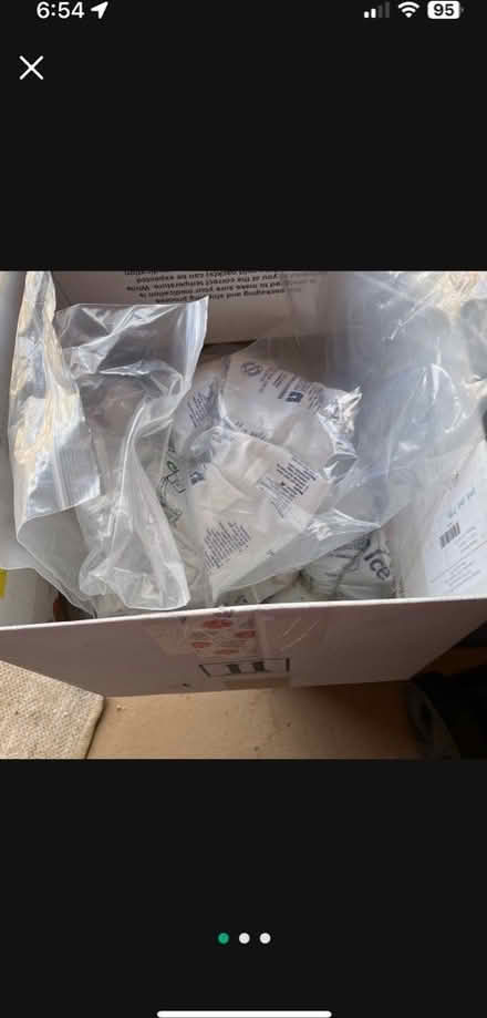 Photo of free 40 Freezer Packs Foam Thermal Chest (Central/east Phoenix) #1