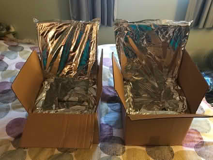 Photo of free Insulated boxes (southwest Schaumburg IL) #1