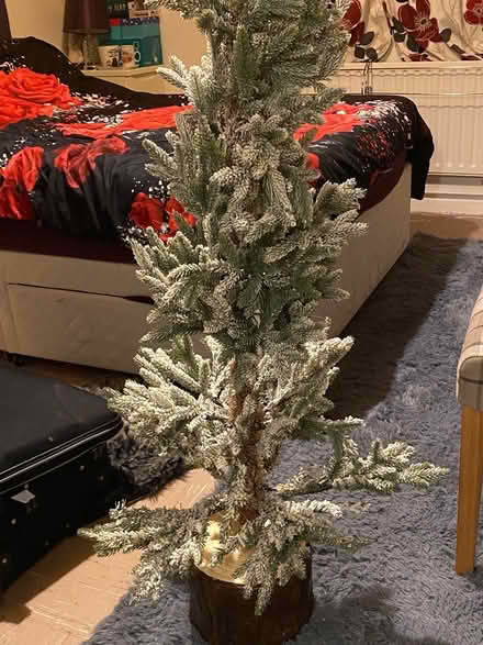 Photo of free Small christmas tree (BR6) #1