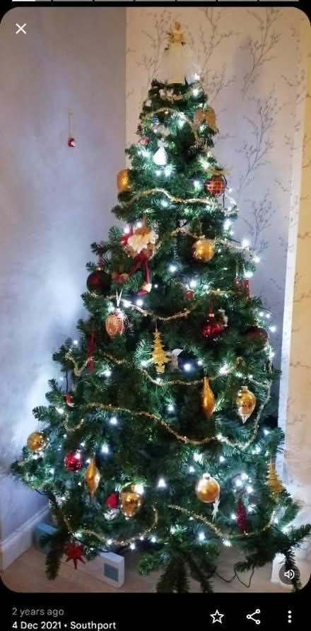Photo of free Christmas Tree (Southport) #1